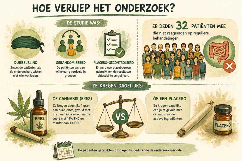 infographic met de inhoud van genoemde feiten in het onderzoek